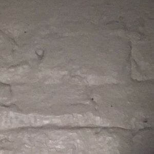 Meet your Posher, Derrick